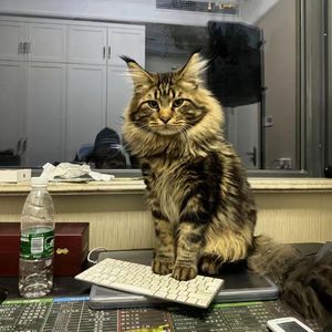 亚洲色图五月天
